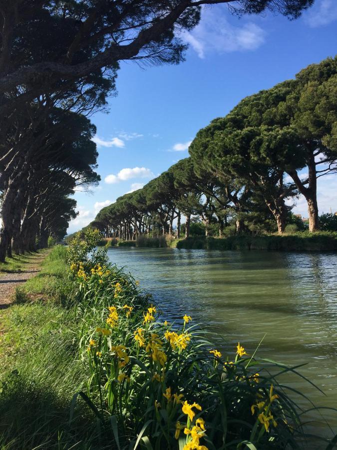 La Passerelle Du Canal Salleles-d'Aude Экстерьер фото